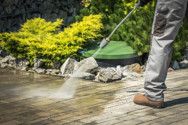Best Fence Cleaning and Maintenance in Palm Valley, TX